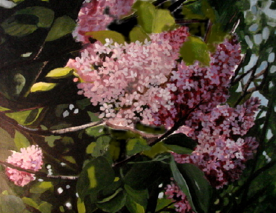 Lilacs